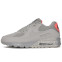 Кроссовки Мужские Nike Air Max 90 Moscow Smoke Grey